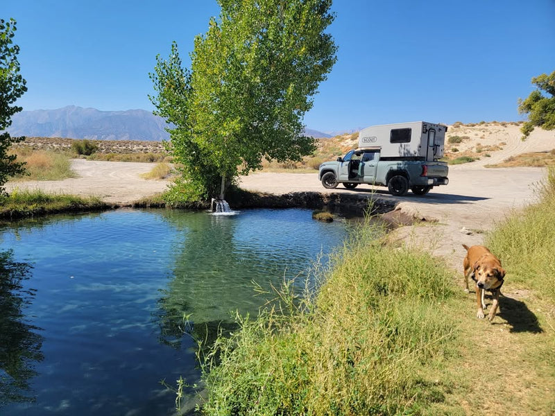 2021 Scout Yoho Truck Camper in Lodi, CA (photo 3) — photo 3