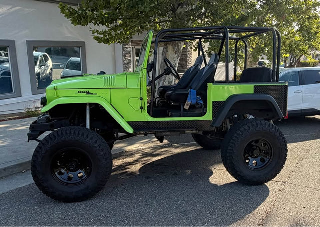 1969 Toyota Landcruiser — photo 3