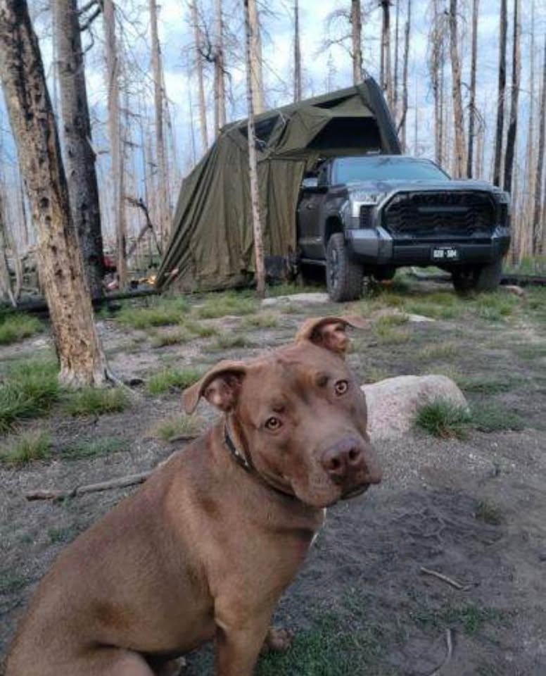 23ZERO Armadillo A2 Aluminum Rooftop Tent + Annex + Floor in Centennial, CO (photo 3) — photo 3