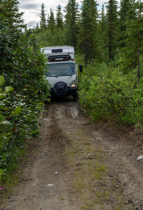 The Isuzu NPR navigating a tight forest trail