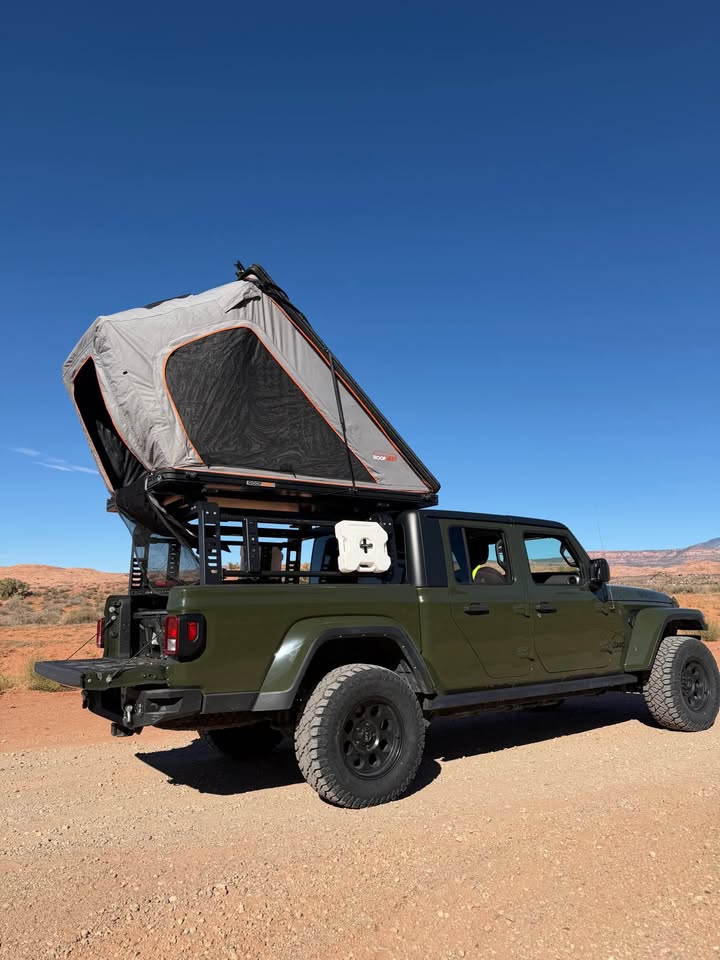 Roofnest falcon in Moab, UT (photo 5) — photo 5