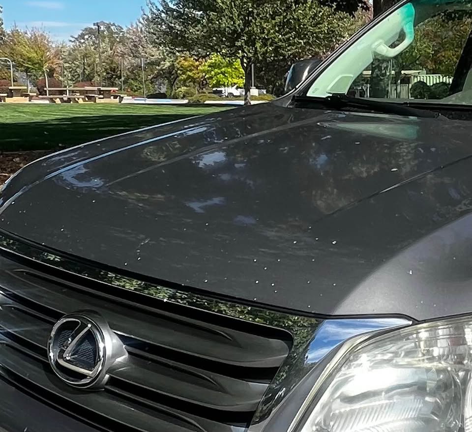 2010 Lexus GX · GX 460 Sport Utility 4D in Grass Valley, CA (photo 5) — photo 5