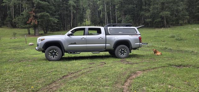 A.R.E. Overland series truck topper installed on the 6-foot bed of a silver Toyota Tacoma TRD Off-Road double cab parked in a mountain meadow, showing the topper's tinted side window, roof-mounted Go Rhino platform rack and Front Runner crossbars, with pine and aspen forest behind