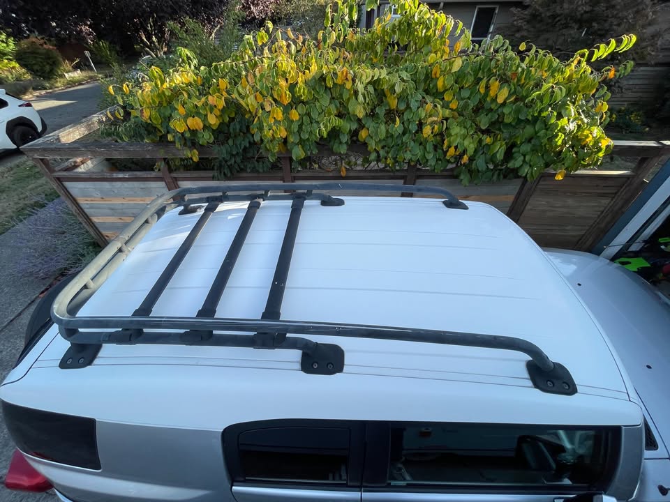 2007 Toyota FJ Cruiser in Seattle, WA (photo 7) — photo 7