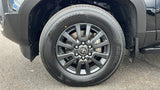2025 Toyota Land Cruiser in Reno, NV (photo 10)