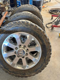 20” Laramie stocks