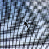 INEOS Grenadier Window Screens — Overland Gear Guy (photo 5)