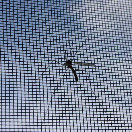 INEOS Grenadier Window Screens — Overland Gear Guy (photo 5)
