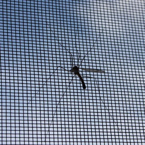 INEOS Grenadier Window Screens — photo 5