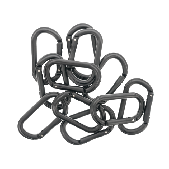 Carabiner (Individual) — photo 2