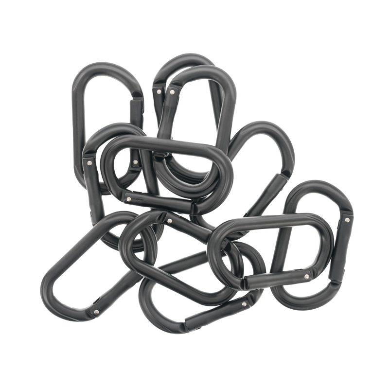 Carabiner (Individual) — photo 2