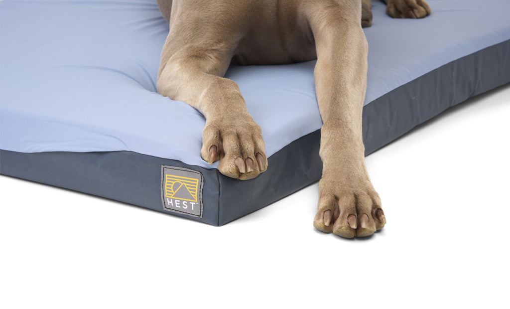 HEST Dog Bed — photo 8