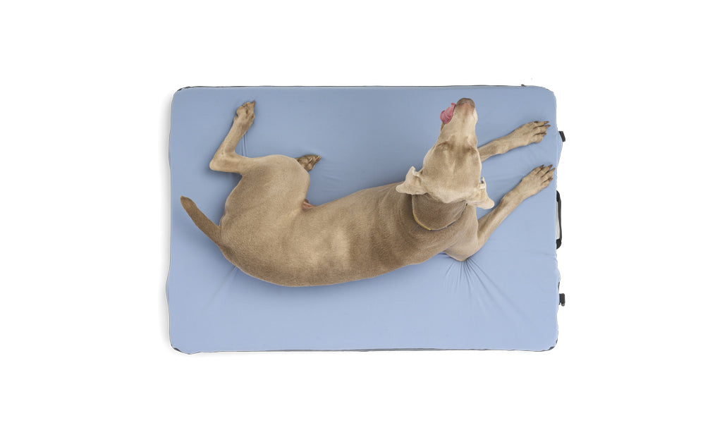 HEST Dog Bed — photo 2
