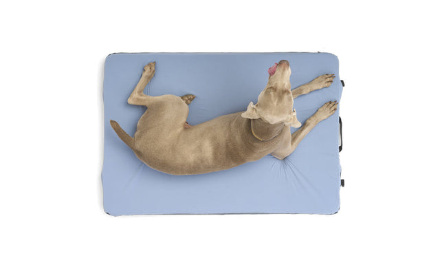 HEST Dog Bed — photo 2