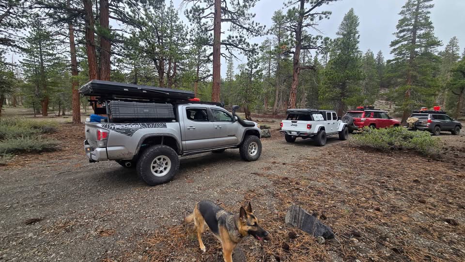 Wilco Offroad ADV full height offroading bed rack in San Francisco, CA (photo 4)