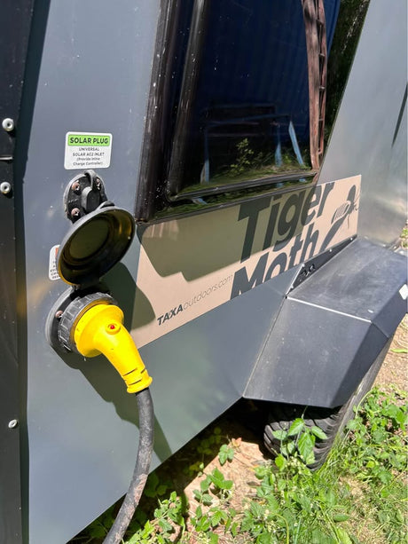 2019 Taxa Tiger Moth in Bremerton, WA (photo 8)