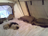 CVT Mt Rainier Rooftop Tent in Seattle, WA (photo 4)
