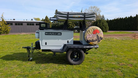 2021 TAXA woolly bear in Portland, OR (photo 6)