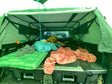 Decked Truck drawers in Belleville, ON (photo 1)