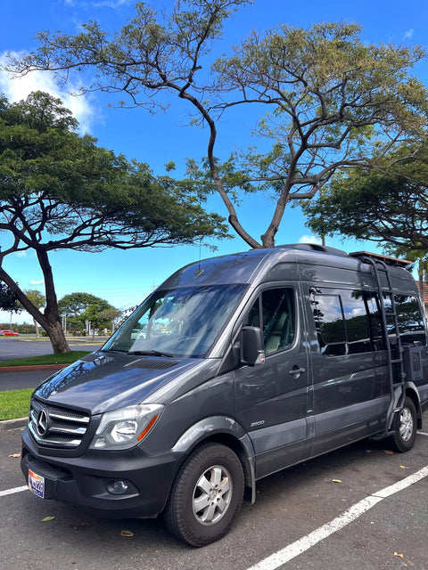 Da Maui Nene, Sprinter Conversion — photo 2