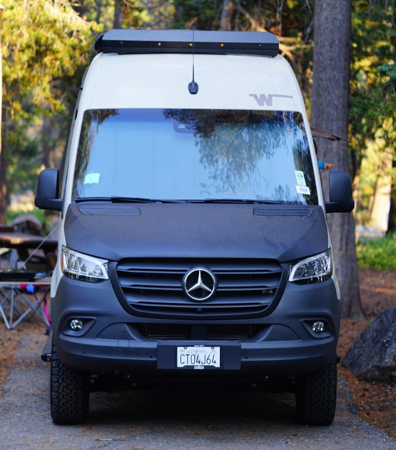  surrounded by tall pine trees — photo 2