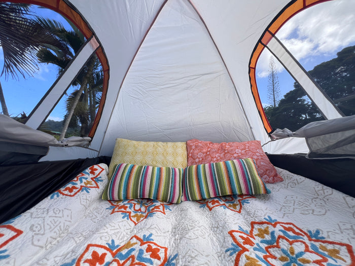Cozy RV rental interior with a comfortable bed, colorful pillows, and tropical palm tree views from the windows.