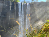 Powerful waterfall cascading, creating heavy mist. Sunlit golden grasses frame the foreground. Ideal for an RV rental adventure.