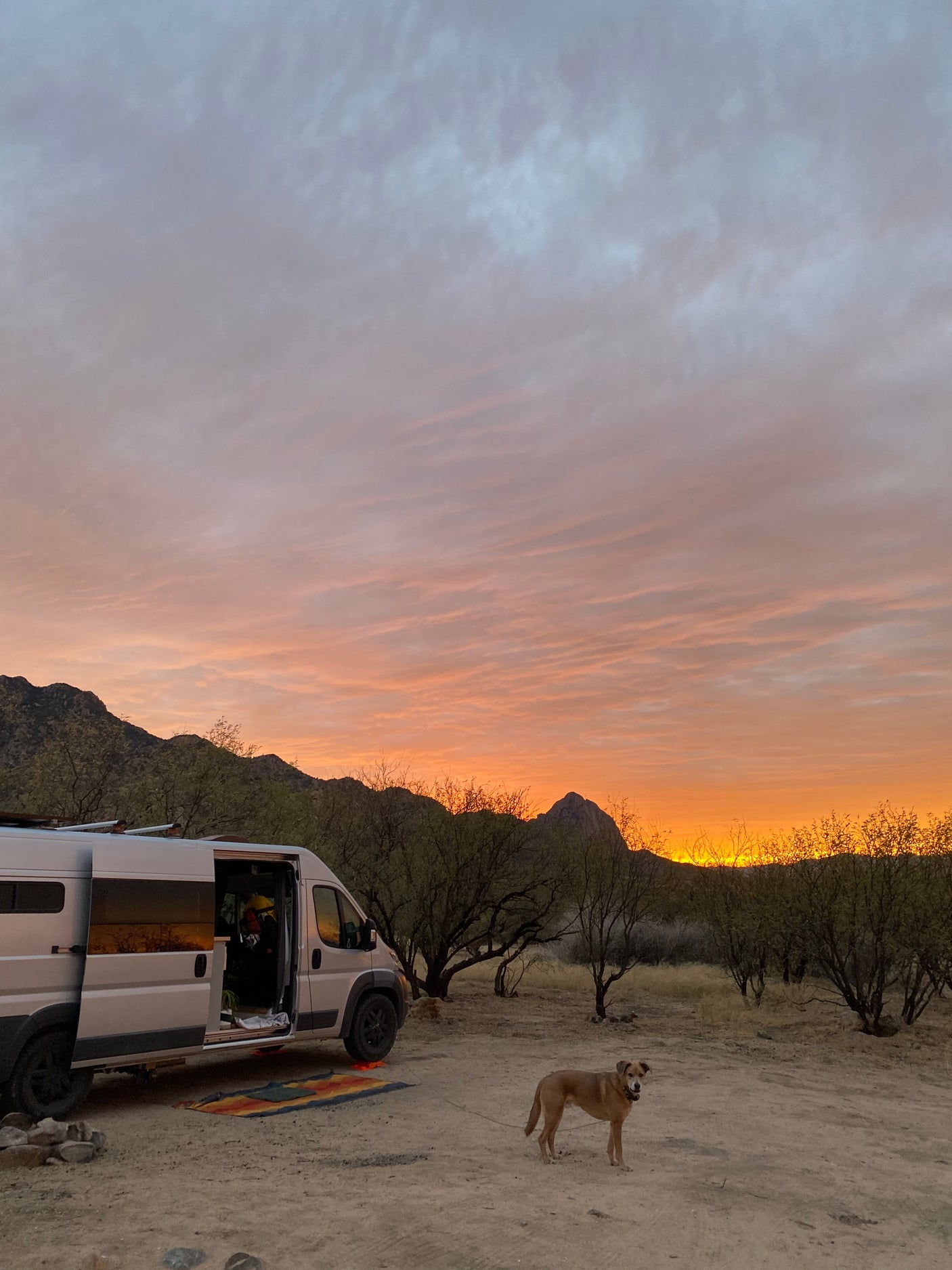 RV rental camper van with a dog at a desert campsite under a stunning sunset sky and mountains.
