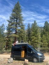 A person sits on a dark blue camper van's roof rack amidst tall pine trees under a blue sky. Experience an RV rental adventure!