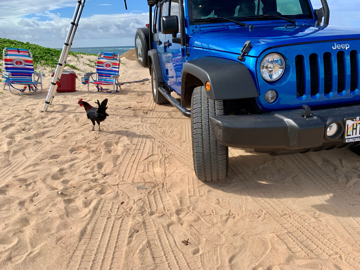 Beach day! A blue Jeep, ideal for a beach adventure or as an rv rental option, is parked on the sand with chairs, a cooler, and a rooster. — photo 4