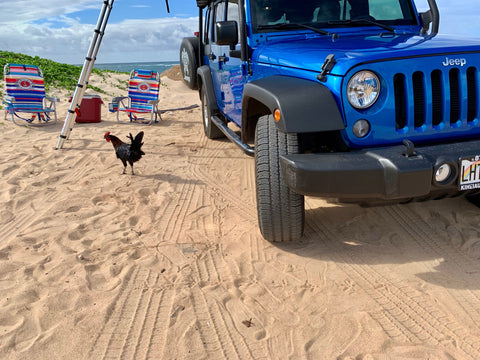 2016 Jeep Wrangler — photo 4