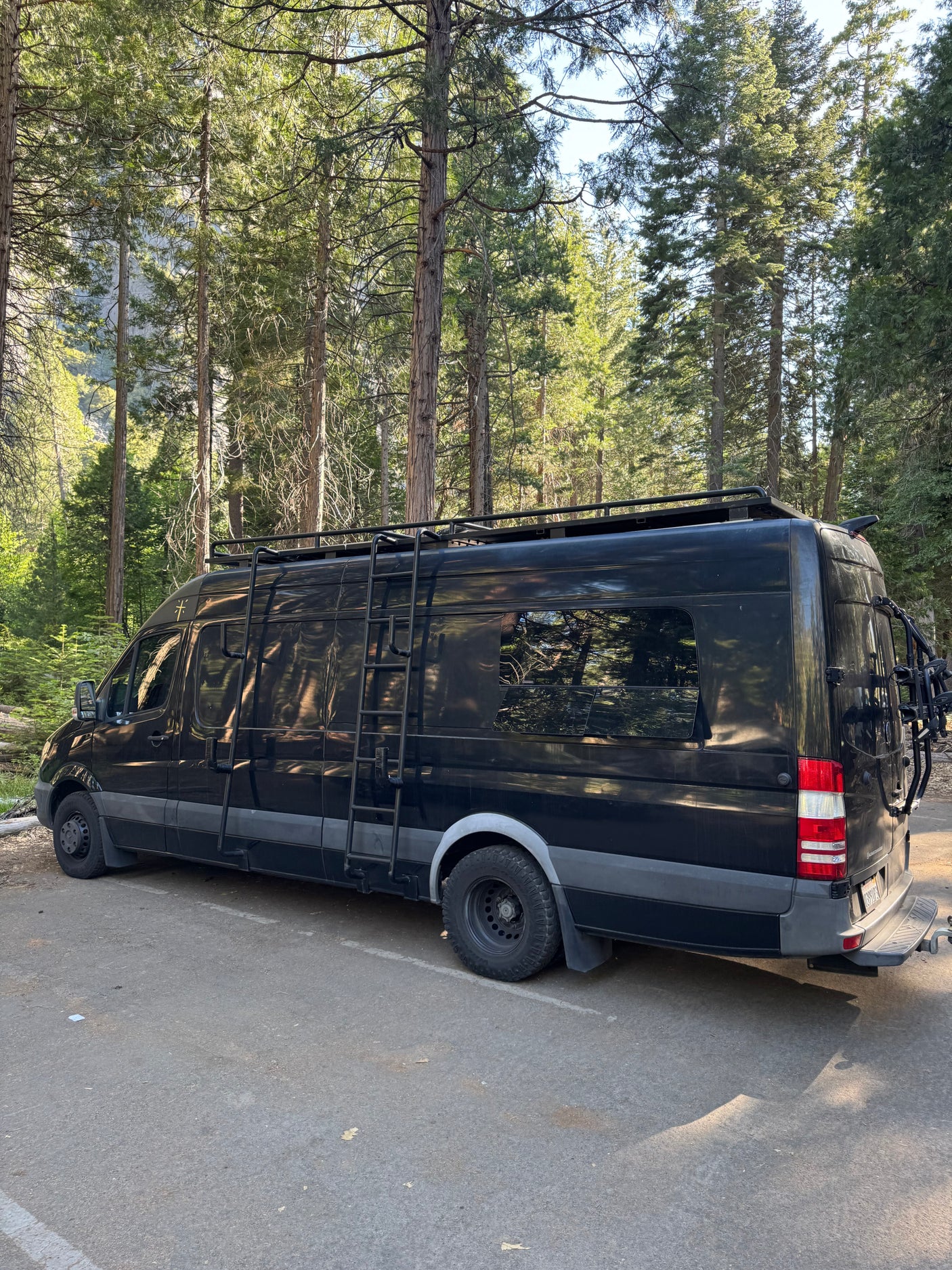 Adventure-ready black RV rental parked in a sunlit forest, featuring a roof rack and bike carrier for outdoor adventures.