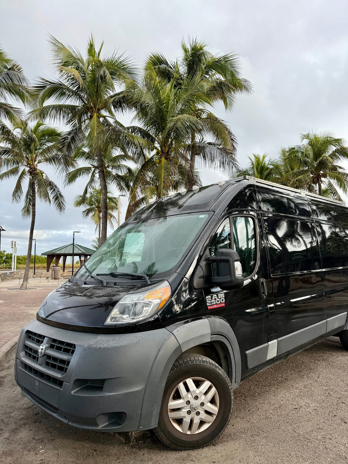 Black Ram ProMaster rv rental van parked by tropical palm trees under a cloudy sky