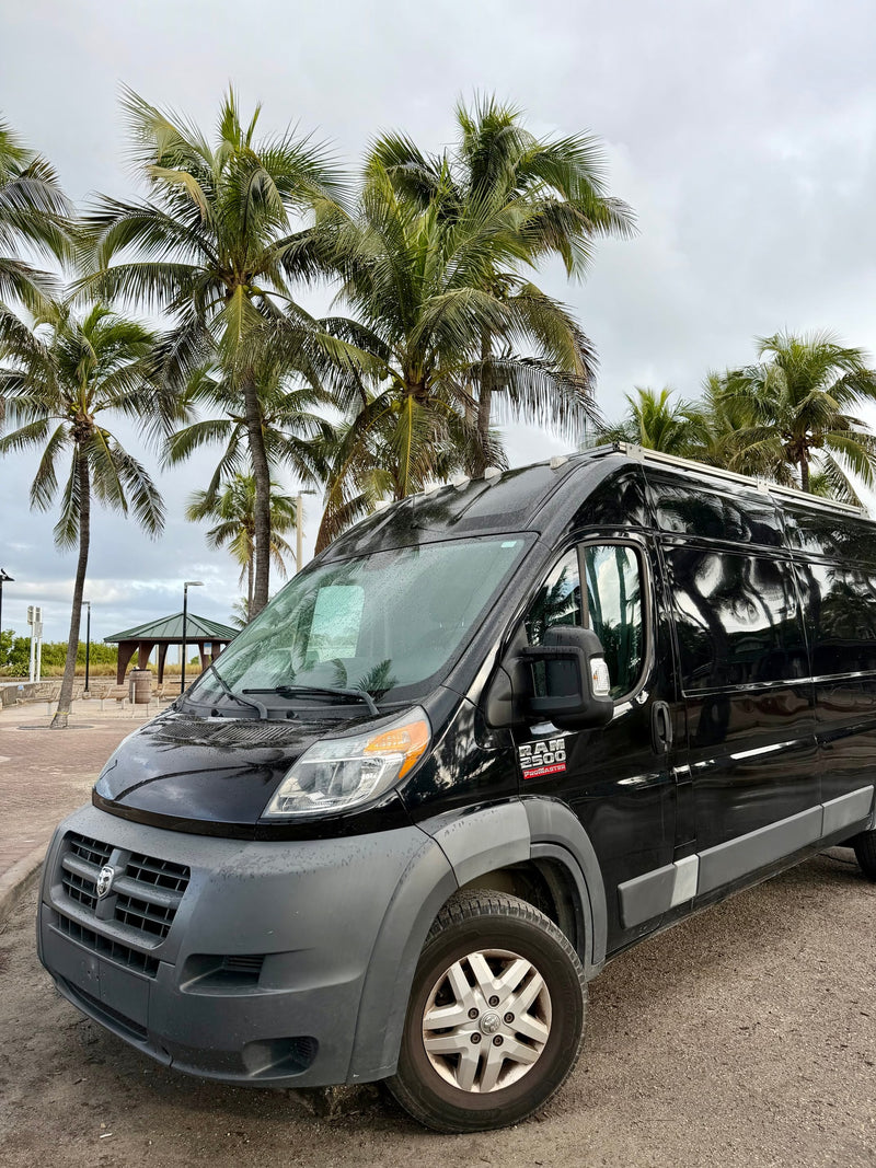 Black Ram ProMaster rv rental van parked by tropical palm trees under a cloudy sky — photo 1