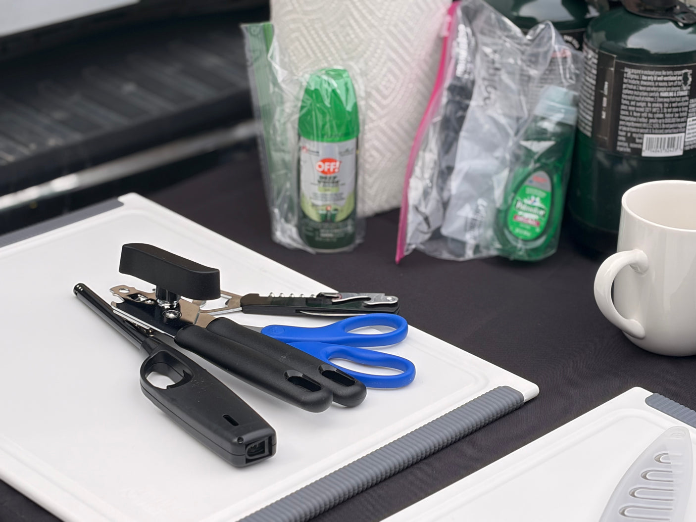 RV rental camp kitchen prep: cutting boards, can opener, lighter, bug spray, dish soap, and propane tanks for outdoor cooking.