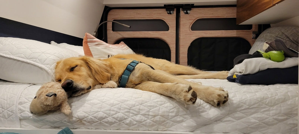  & distant mountains under a clear sky.|RV rental bed offers a cozy interior view of a scenic mountain road — photo 3