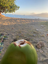 A green coconut with a drinking hole on a sandy beach, overlooking boats on the tranquil sea. Ideal for an RV rental escape.