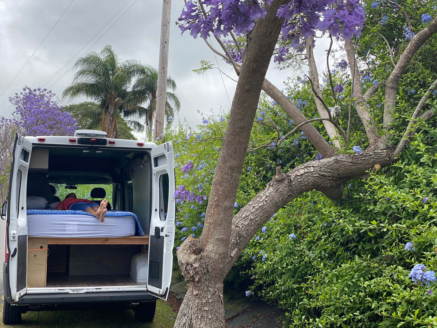 Relaxing in a white rv rental camper van. Person lounges on bed with open back doors. Purple jacaranda trees & lush plants nearby.