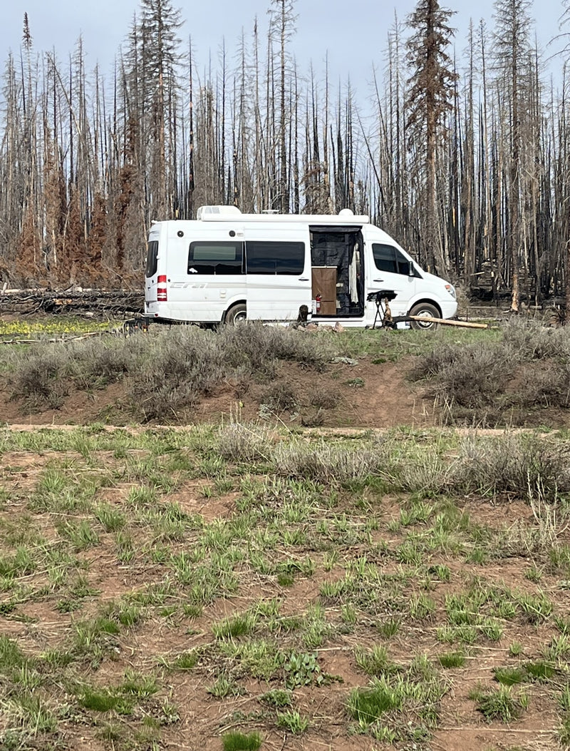 RV rental camper van parked in a burned forest with open side door for camping. Ideal for boondocking adventures. — photo 8