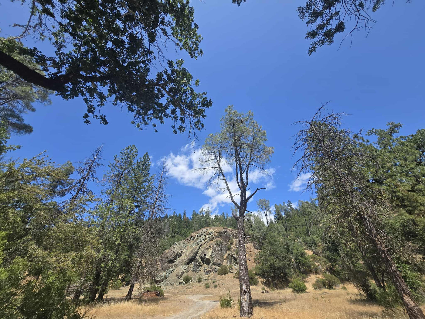  ideal for an RV rental trip. Dark rocky shore in view.|Perfect for an RV rental adventure: a serene natural landscape with a dirt path — photo 6