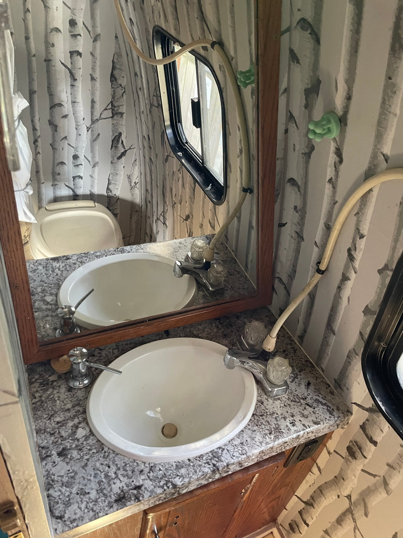 RV rental's compact bathroom features a sink, mirror reflecting the toilet, birch wallpaper, and a small window. — photo 12