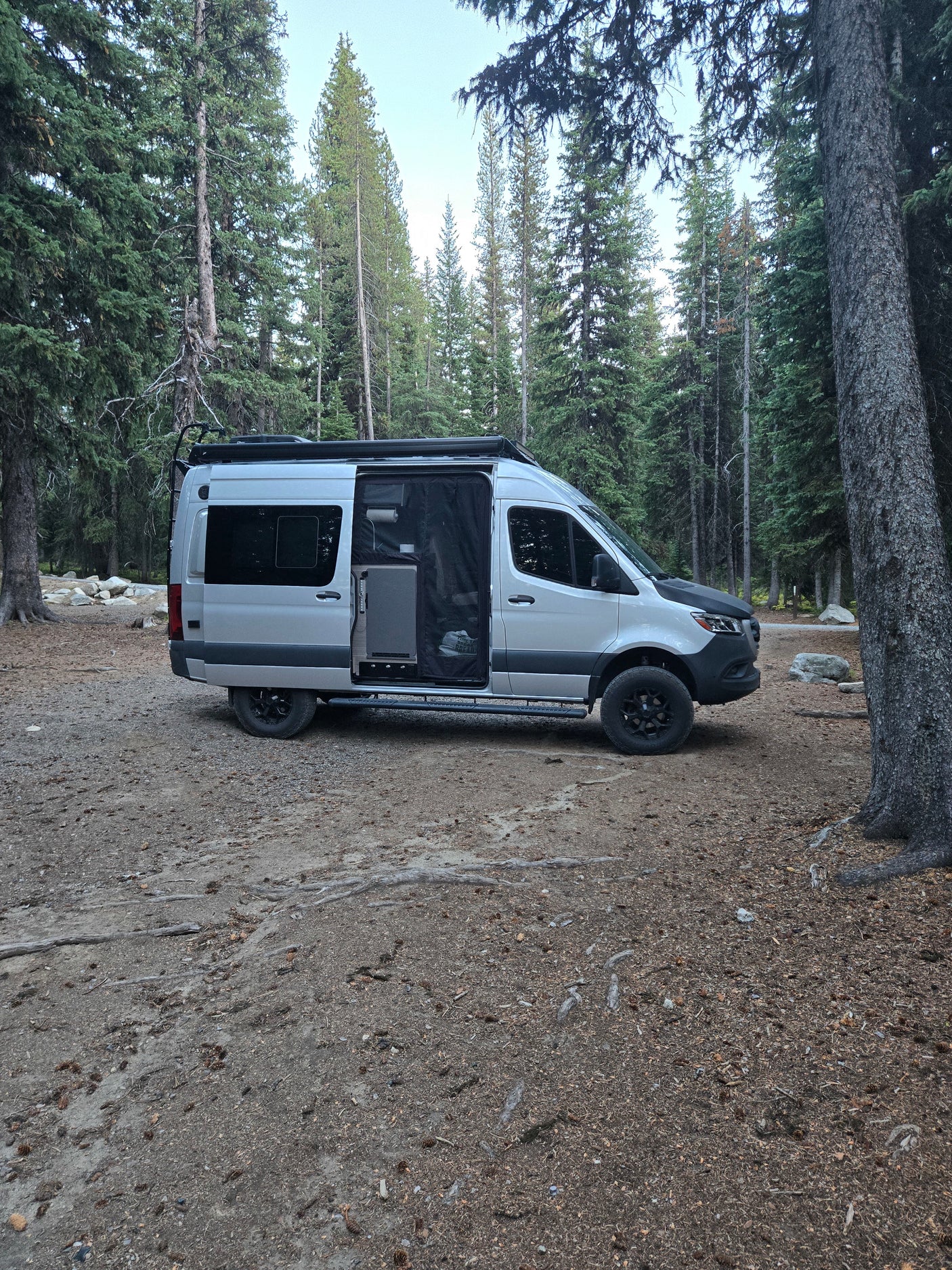 Silver camper van RV rental parked on a dirt site surrounded by tall evergreen trees. Ideal for forest camping.