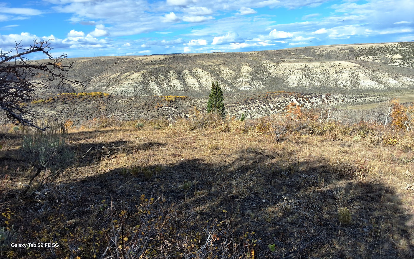 Explore a scenic autumn landscape, perfect for an RV rental adventure amidst dry hills, fall trees, and a vast sky.