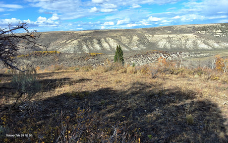 Explore a scenic autumn landscape, perfect for an RV rental adventure amidst dry hills, fall trees, and a vast sky.