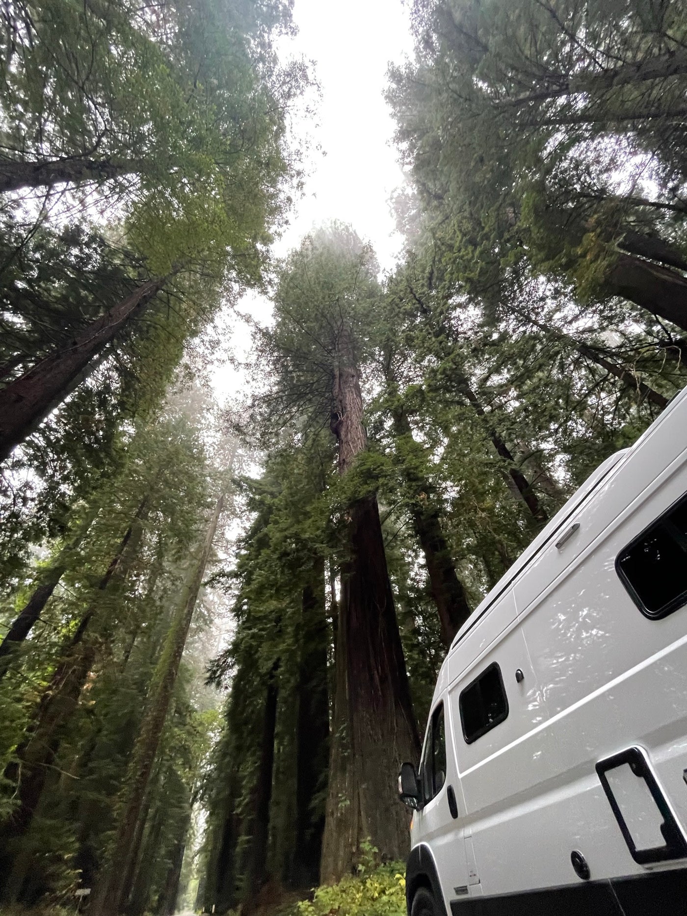  facing a vibrant orange sunset over the ocean with sea stacks.|Explore majestic forests with an RV rental! A white camper van is parked among towering redwood trees — photo 3