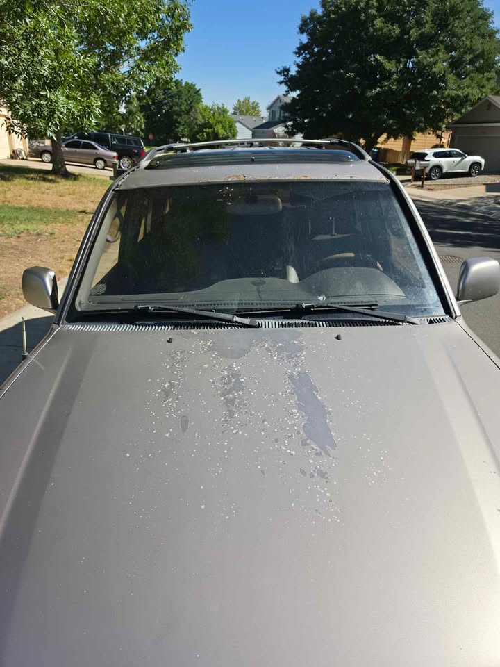 2001 Toyota Land Cruiser in Commerce City, CO (photo 5) — photo 5