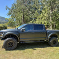2019 Ford raptor