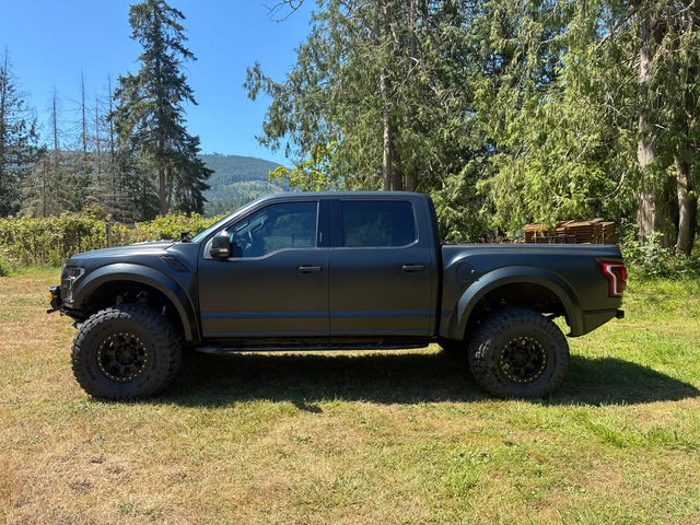 2019 Ford raptor — photo 2