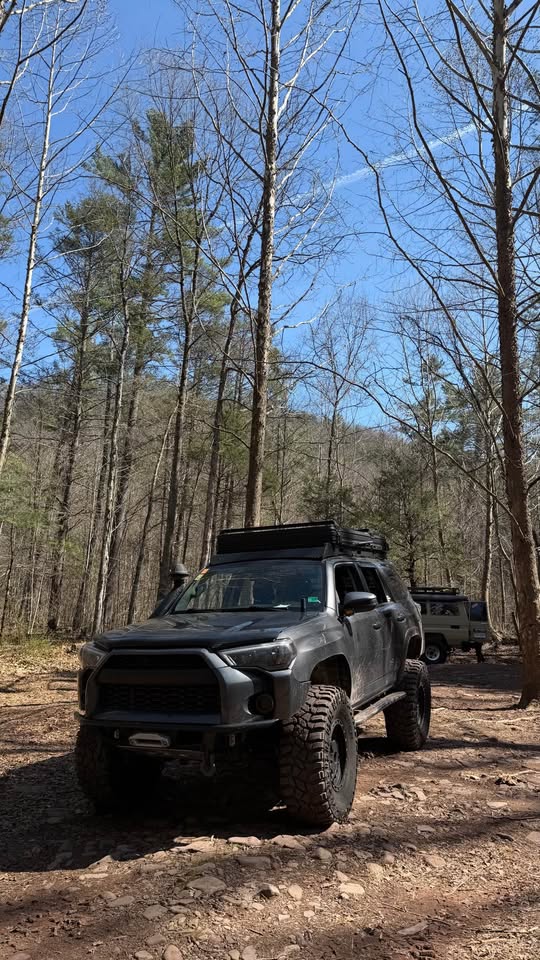 2017 Toyota 4Runner · SR5 Sport Utility 4D in Springfield, VA (photo 11) — photo 11
