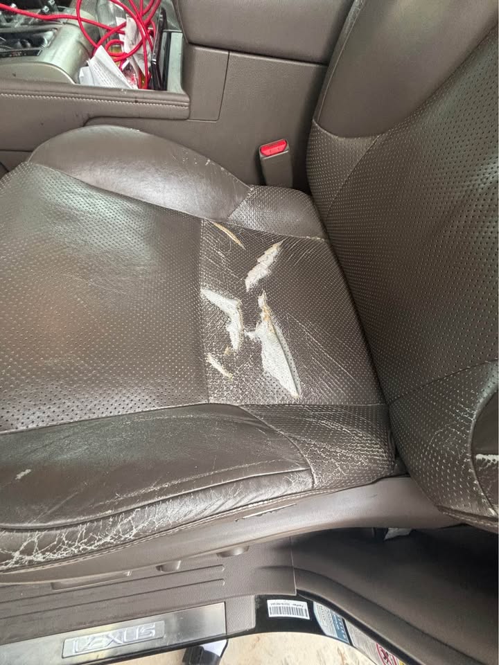 2010 Lexus GX · premium in Queen Creek, AZ (photo 11)